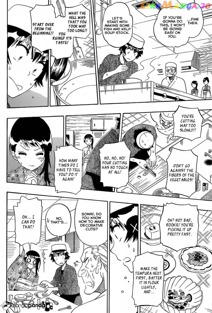 Nisekoi Chapter 143 image 15_optimized
